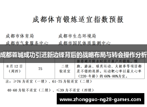 成都蓉城成功引进新边锋背后的战略布局与转会操作分析